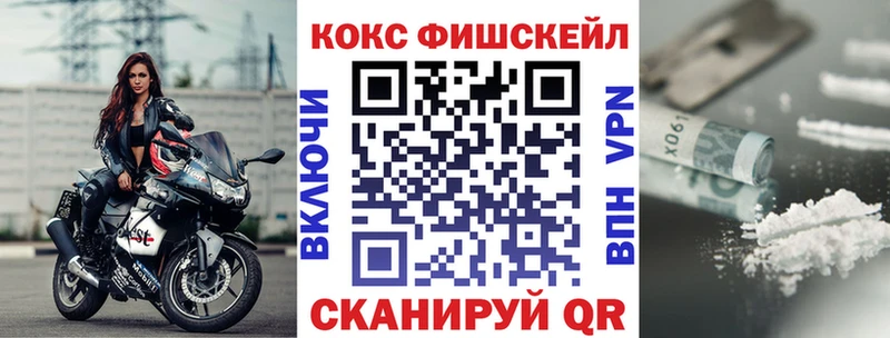 мега маркетплейс Советск Cocaine Fish Scale