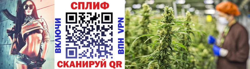 Бошки Шишки план  Советск 